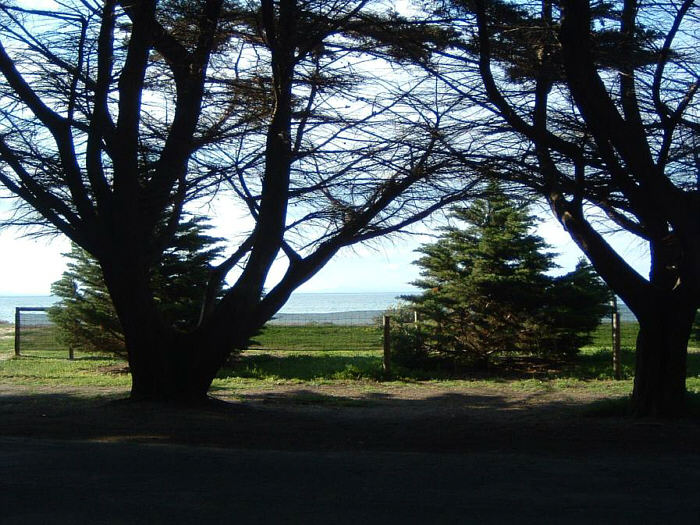 10 Penguin Island.jpg